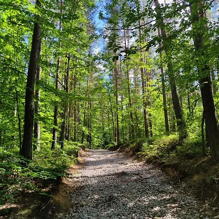 Near The Forest Gdynia